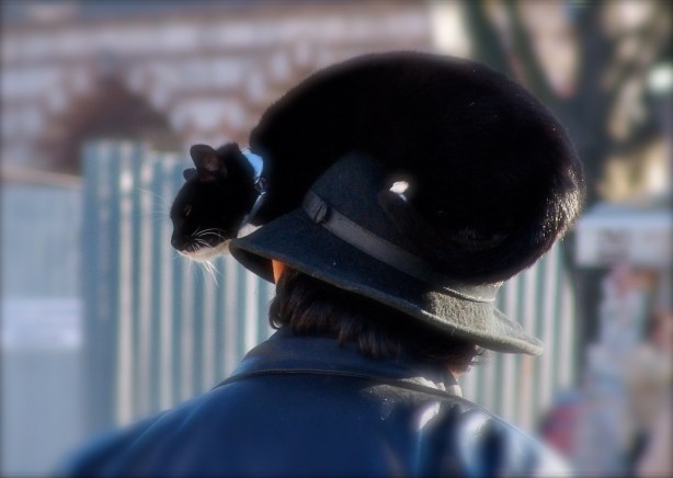 171642_193623867332941_100000559868507_653895_918483_o man with cat-Istanbul, Turkey